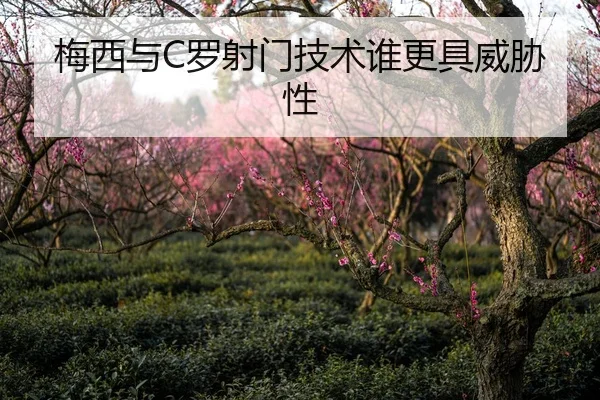 梅西与C罗射门技术谁更具威胁性